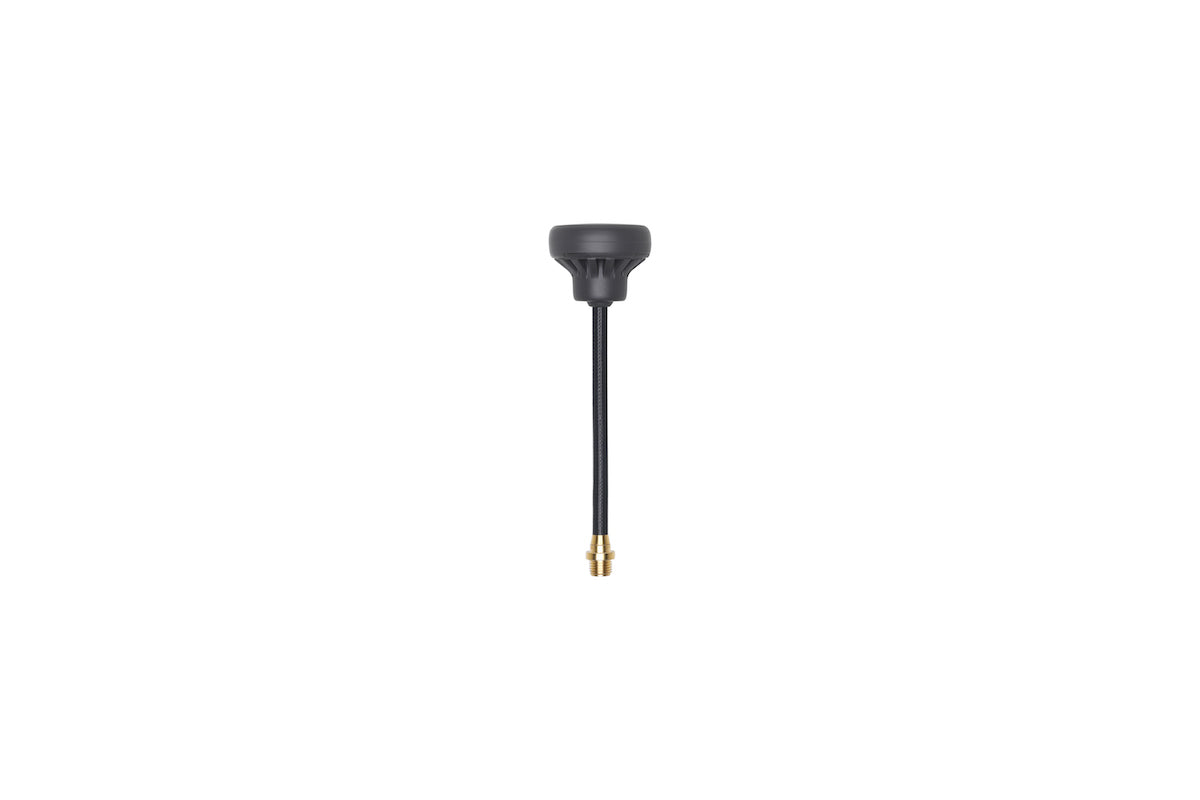 Goggles Racing Edition Part 1 Pagoda Antenna (SMA interface)
