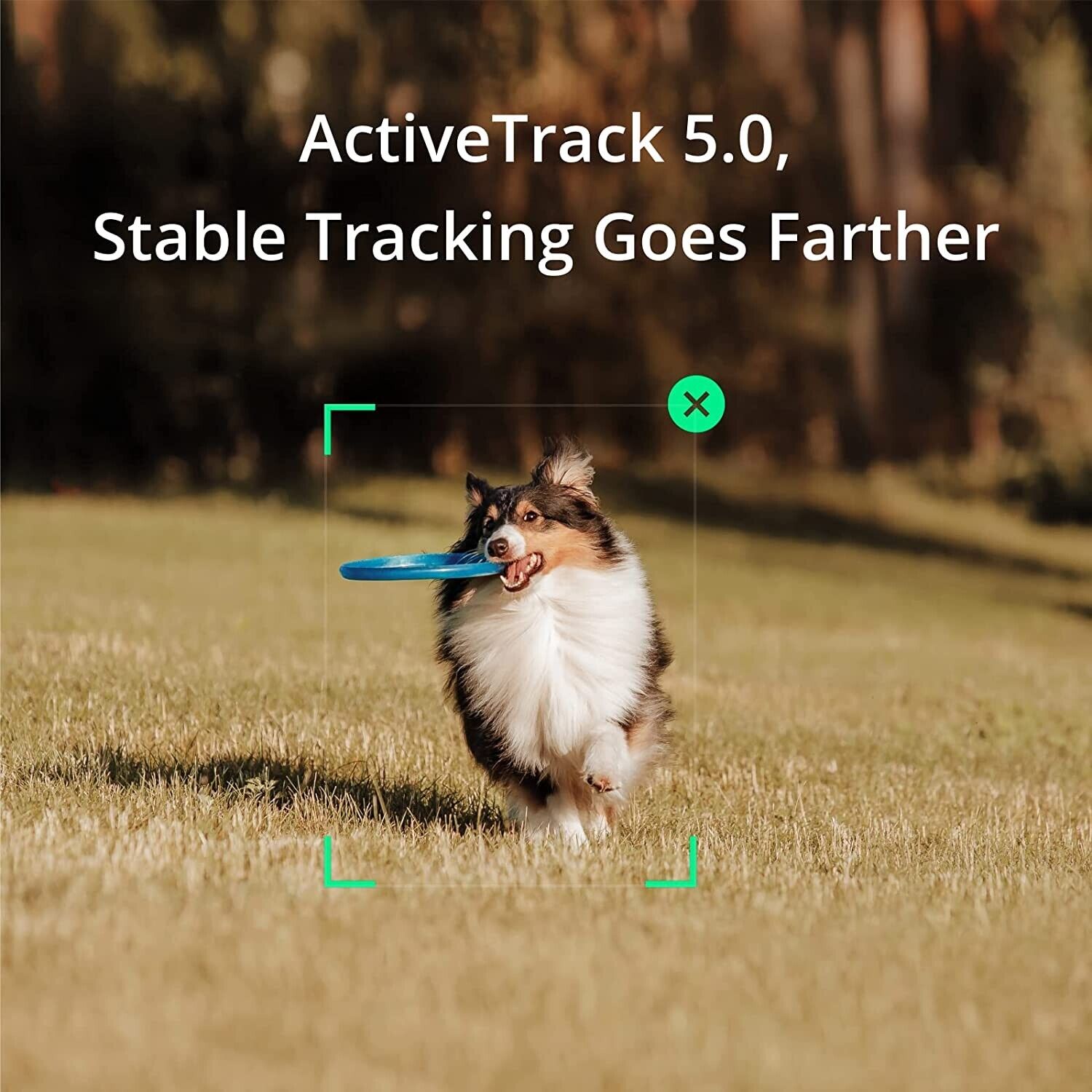 Osmo Mobile SE – Camrise