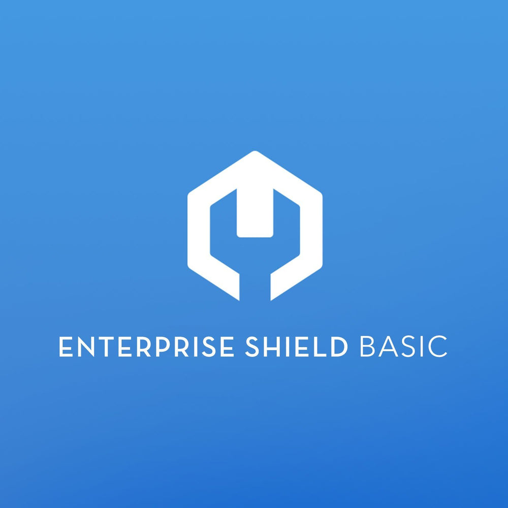 Enterprise Shield Basic Protection Plan for Zenmuse H20
