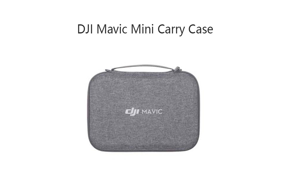 DJI Mini Carrying Case
