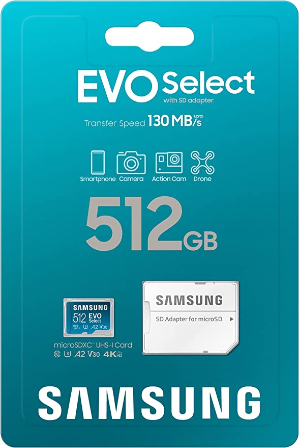 SAMSUNG EVO Select Micro SD-Memory-Card – Camrise